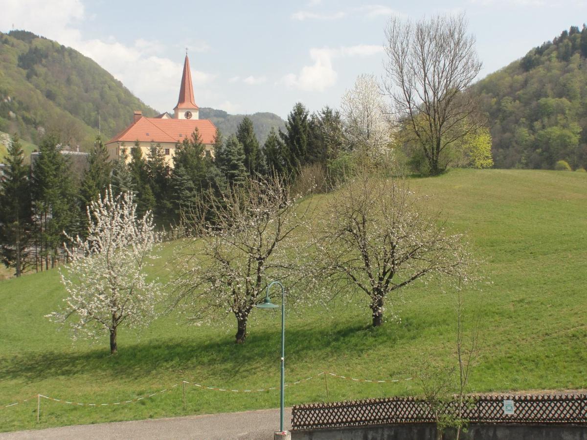 Apartment St. Nikola Sankt Nikola an der Donau Bagian luar foto